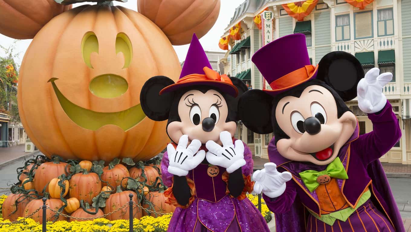 Experience The Magic At Walt Disney World Resort The Kilson s